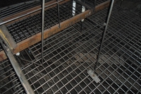 Фотогалерея на главной, фото №20 Фотогалерея на главной, фото №20